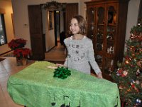 2016124012 Christmas Day at the Hagbergs - Moline IL