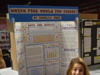 2017032039 State Science and Technology Fair of Iowa - Ames IA