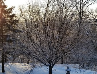 2019 02 01 Ice Storm in Moline IL - Feb 13
