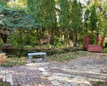 2021 10 03 Buck Deer in Backyard - Moline IL
