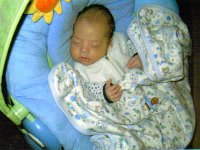 2008059006 Aidan OBrien - 7 weeks old