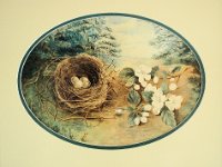 1880015003 Nora Helen Bird Nest Painting