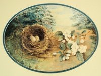 1880015003a 4x6 Nora Helen Bird Nest Painting