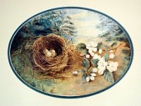 1880015003b 5x7 Nora Helen Bird Nest Painting