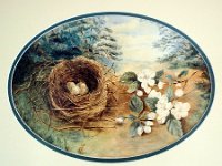 1880015003c 8x10 Nora Helen Bird Nest Painting