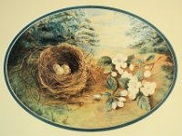 1880015004a 4x6 Nora Helen Bird Nest Painting