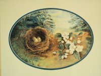 1880015005 Nora Helen Bird Nest Painting
