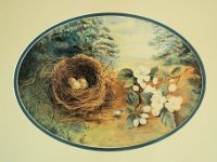 1880015005b 5x7 Nora Helen Bird Nest Painting