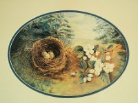 1880015005c 8x10 Nora Helen Bird Nest Painting