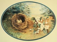 18809015004b 5x7 Nora Helen Bird Nest Painting