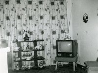 1957122004 Wallace Jamieson Home - Old Jamiesopn Homestead - Moline IL