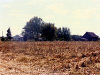 1978105001 Old Jamieson Farm in the Fall - East Moline IL