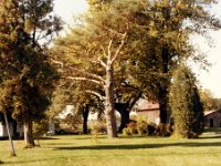 1978105004 Old Jamieson Farm in the Fall - East Moline IL