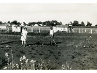 1942071002 Irvin & Lorraine McLaughlin - Victory Garden - Colona IL