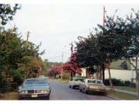 1969091010 Darrel & Betty Hagberg Home D-View Street - Norfolk VA