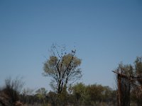 2005021422 Alice Springs, Australia (February 12 - 13, 2005)