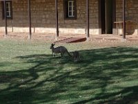 2005021451 Alice Springs, Australia (February 12 - 13, 2005)