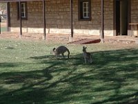 2005021452 Alice Springs, Australia (February 12 - 13, 2005)