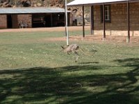 2005021453 Alice Springs, Australia (February 12 - 13, 2005)