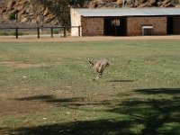 2005021454 Alice Springs, Australia (February 12 - 13, 2005)