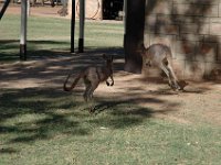 2005021455 Alice Springs, Australia (February 12 - 13, 2005)