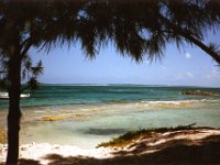 Little Stirrup Cay, Bahama Islands (April 3, 1988)