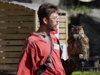 2013098631 Falcon Exhibition - Han Belgium - Sept 28