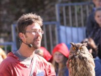 2013098634 Falcon Exhibition - Han Belgium - Sept 28