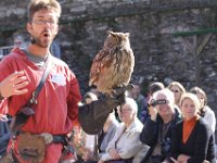 2013098635 Falcon Exhibition - Han Belgium - Sept 28