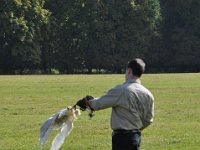 2013098660 Falcon Exhibition - Han Belgium - Sept 28