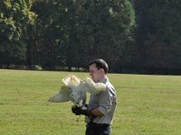 2013098663 Falcon Exhibition - Han Belgium - Sept 28