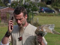 2013098675 Falcon Exhibition - Han Belgium - Sept 28