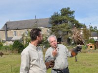 2013098715 Falcon Exhibition - Han Belgium - Sept 28