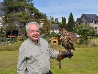 2013098717 Falcon Exhibition - Han Belgium - Sept 28