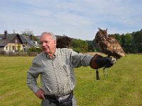 2013098720 Falcon Exhibition - Han Belgium - Sept 28