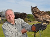 2013098724 Falcon Exhibition - Han Belgium - Sept 28