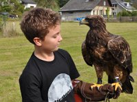 2013098726 Falcon Exhibition - Han Belgium - Sept 28