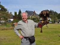 2013098727 Falcon Exhibition - Han Belgium - Sept 28