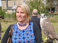 2013098733 Falcon Exhibition - Han Belgium - Sept 28