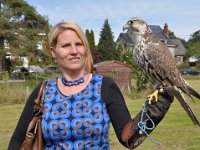 2013098734 Falcon Exhibition - Han Belgium - Sept 28