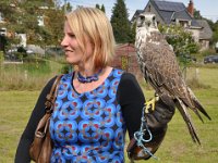 2013098737 Falcon Exhibition - Han Belgium - Sept 28