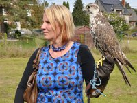 2013098738 Falcon Exhibition - Han Belgium - Sept 28