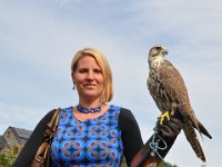 2013098742 Falcon Exhibition - Han Belgium - Sept 28