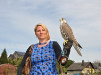 2013098745 Falcon Exhibition - Han Belgium - Sept 28