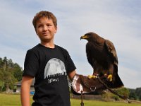 2013098748 Falcon Exhibition - Han Belgium - Sept 28