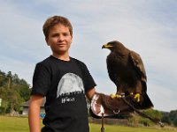 2013098749 Falcon Exhibition - Han Belgium - Sept 28