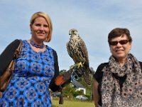 2013098754 Falcon Exhibition - Han Belgium - Sept 28