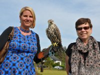 2013098755 Falcon Exhibition - Han Belgium - Sept 28