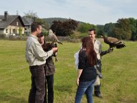 2013098758 Falcon Exhibition - Han Belgium - Sept 28