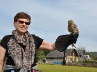 2013098763 Falcon Exhibition - Han Belgium - Sept 28